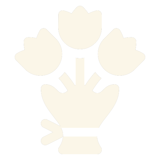 Bouquet of tulips